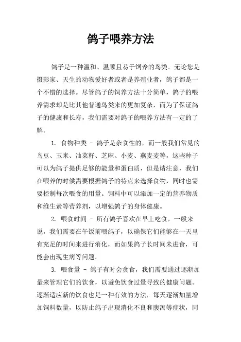 鸽子喂养方法