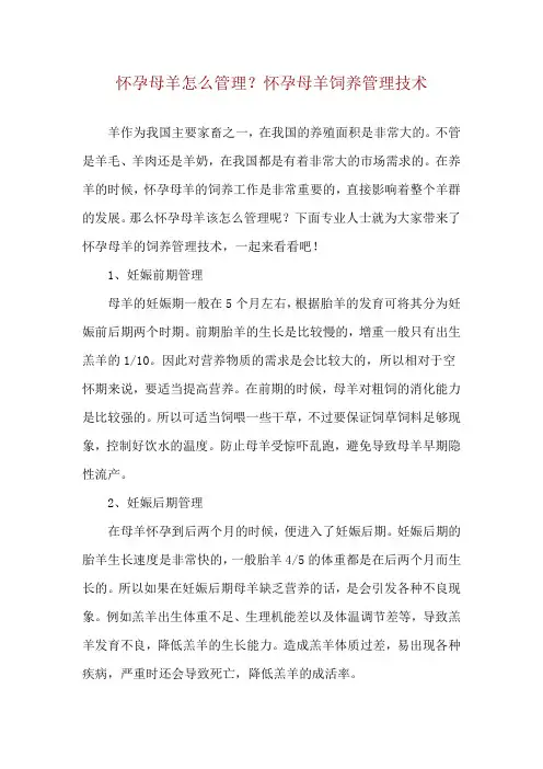 怀孕母羊怎么管理？怀孕母羊饲养管理技术