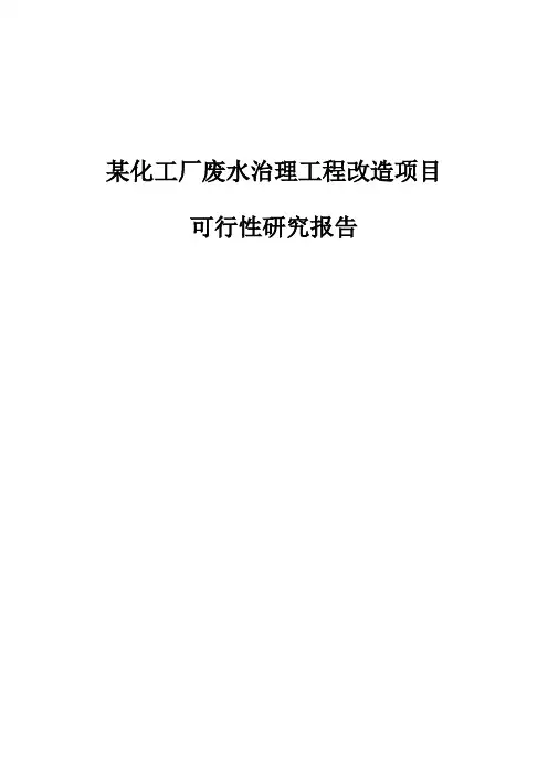 某化工厂废水治理工程改造项目可行性研究报告(以生产橡胶硫化促进剂为主的企业)