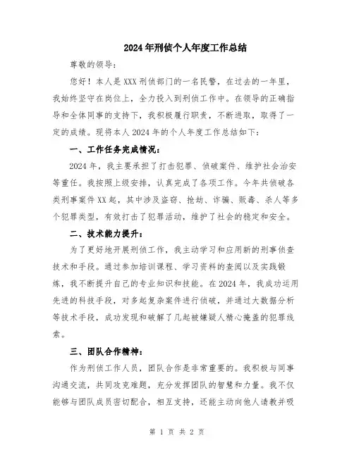 2024年刑侦个人年度工作总结
