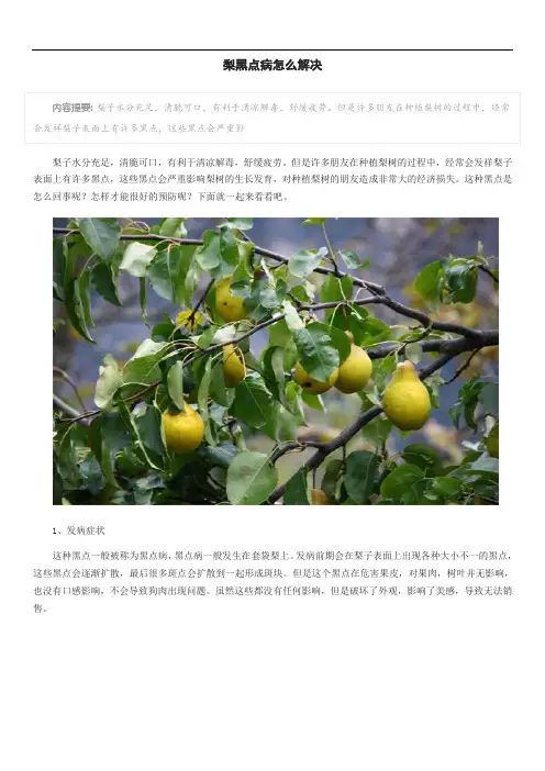 梨黑点病怎么解决