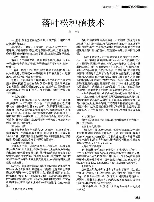 落叶松种植技术