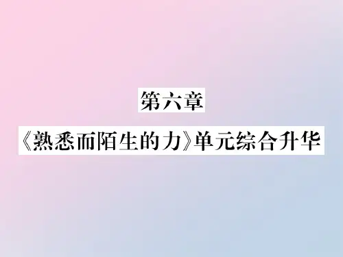 第六章 《熟悉而陌生的力》单元综合升华—2020秋沪科版八年级物理上册课堂作业课件