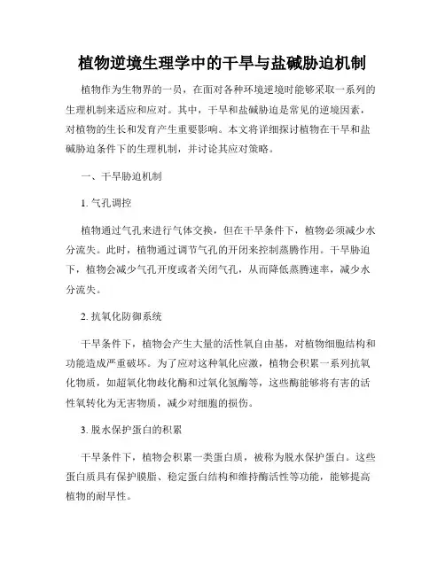 植物逆境生理学中的干旱与盐碱胁迫机制