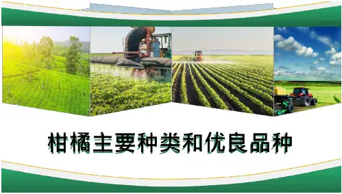 柑橘生产技术—柑橘主要种类和优良品种
