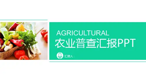 绿色蔬菜农产品PPT模板