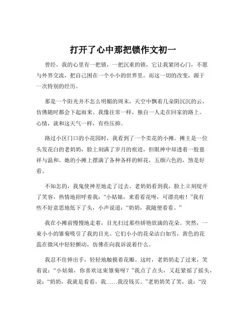 打开了心中那把锁作文初一