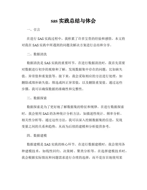 sas实践总结与体会