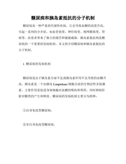 糖尿病和胰岛素抵抗的分子机制