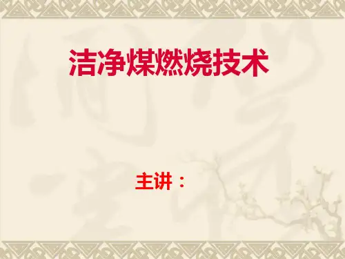 洁净煤燃烧技术