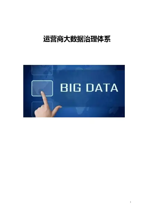 运营商大数据治理体系