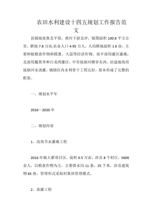 农田水利建设十四五规划工作报告范文