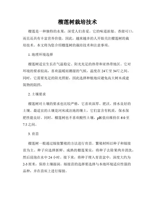 榴莲树栽培技术