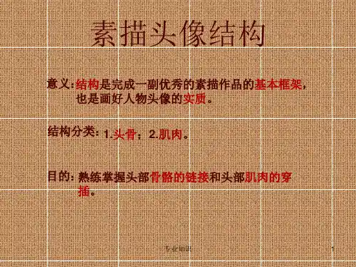 素描头像结构分析[知识研究]
