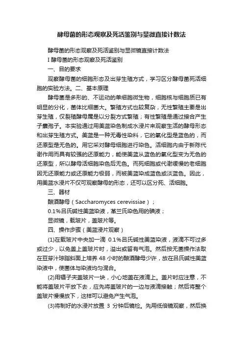 酵母菌的形态观察及死活鉴别与显微直接计数法
