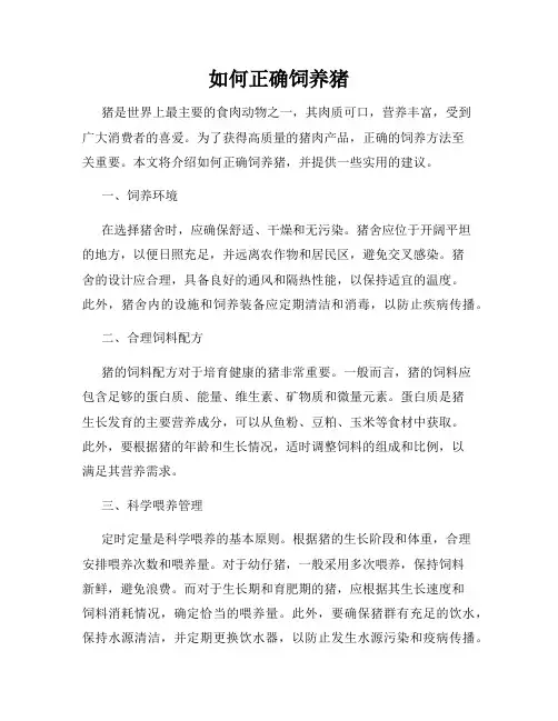 如何正确饲养猪