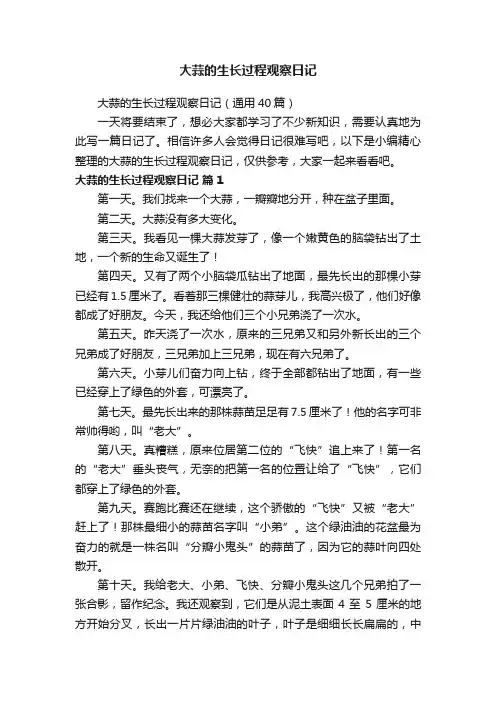 大蒜的生长过程观察日记