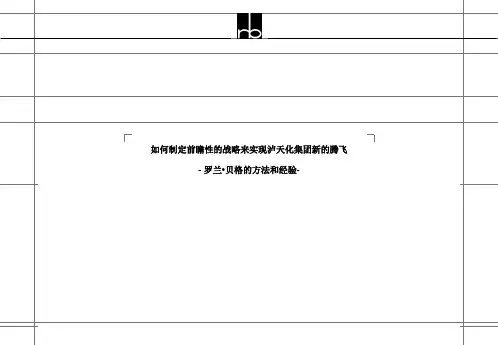如何制定战略来实现集团新发展(ppt 30页)