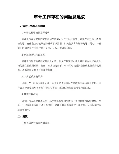 审计工作存在的问题及建议