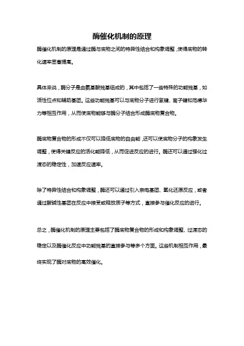 酶催化机制的原理