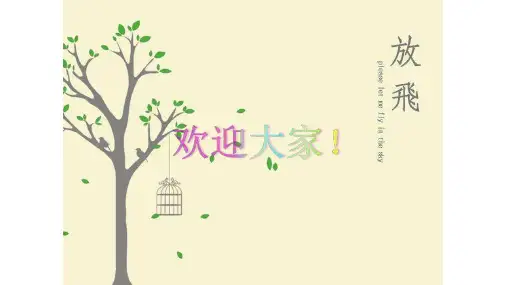 风险与决策的关系——风险 PPT