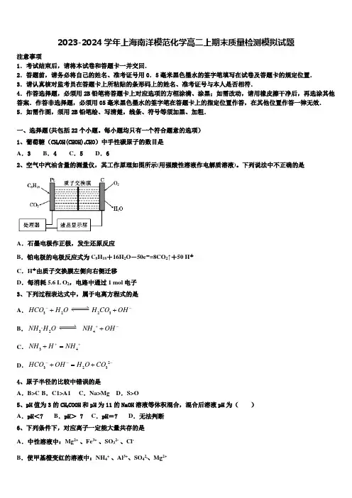 2023-2024学年上海南洋模范化学高二上期末质量检测模拟试题含解析