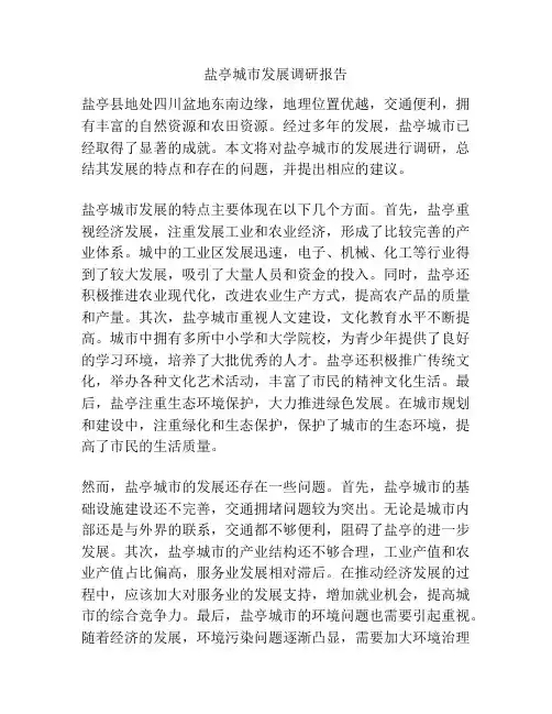 盐亭城市发展调研报告