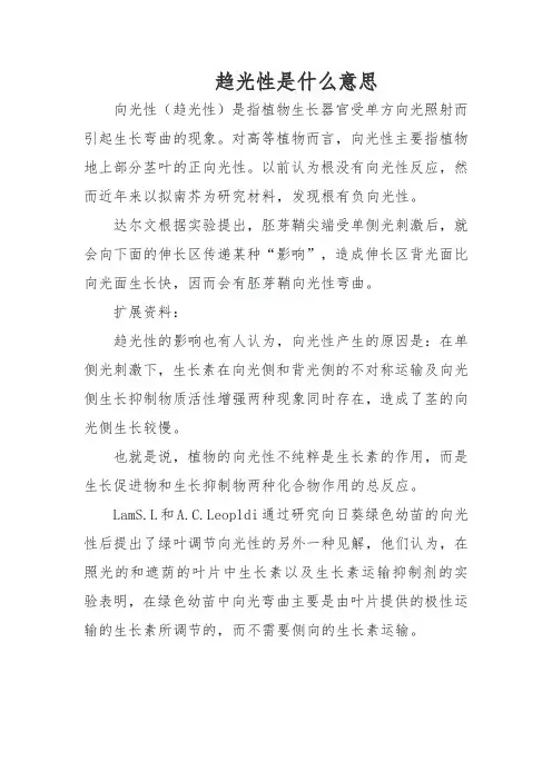 趋光性是什么意思