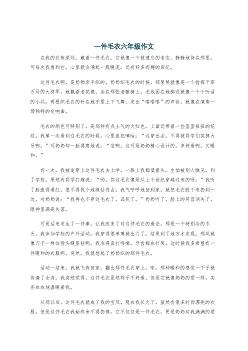 一件毛衣六年级作文