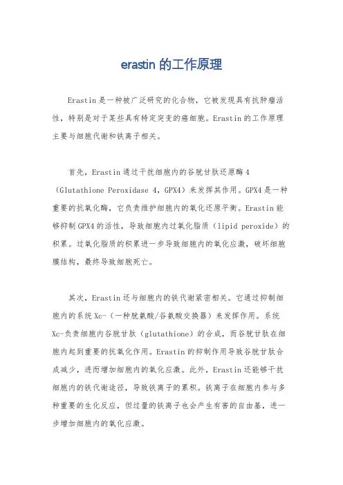erastin的工作原理