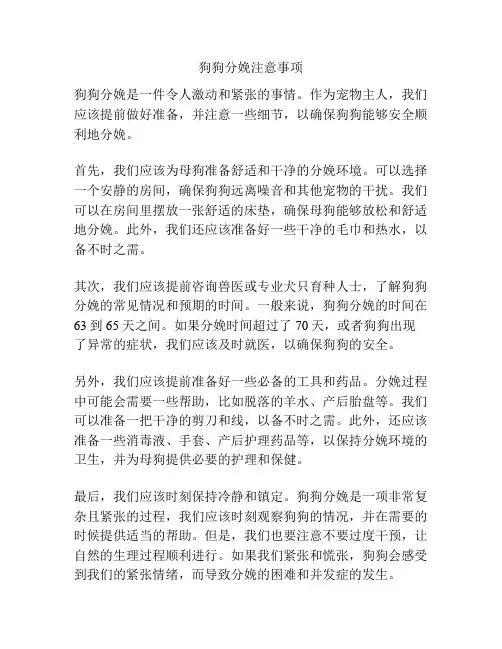 狗狗分娩注意事项
