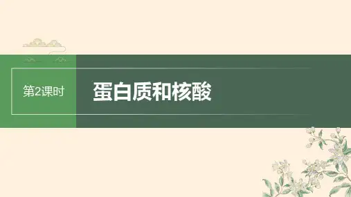 新教材浙科版高中生物精品 第一单元 第2课时 蛋白质和核酸