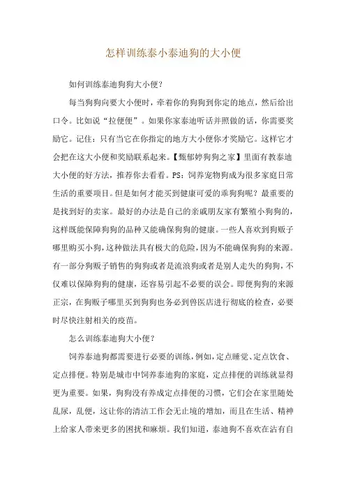怎样训练泰小泰迪狗的大小便