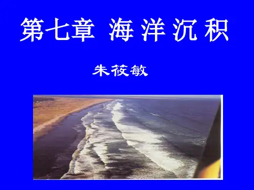 沉积相讲课(7滨岸讲课)