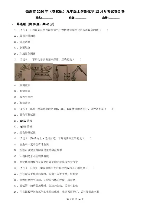 芜湖市2020年(春秋版)九年级上学期化学12月月考试卷D卷