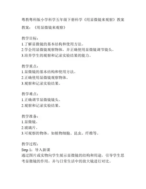 粤教粤科版小学科学五年级下册科学《用显微镜来观察》教案