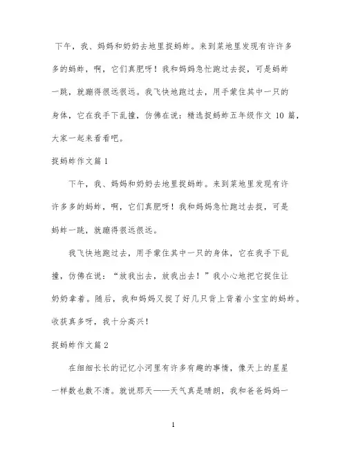 精选捉蚂蚱五年级作文10篇