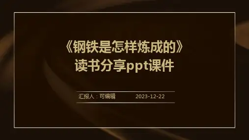 《钢铁是怎样炼成的》读书分享ppt课件