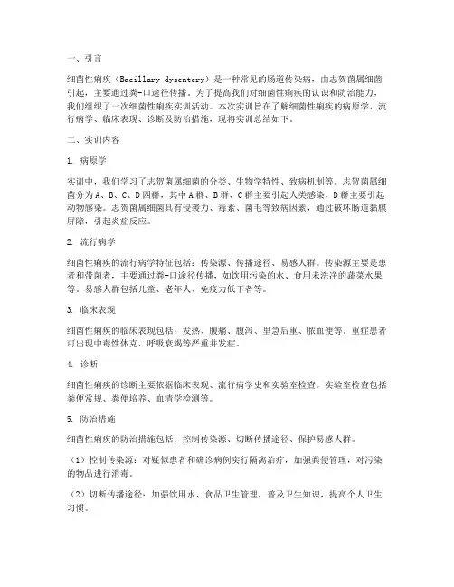 细菌性痢疾实训总结报告