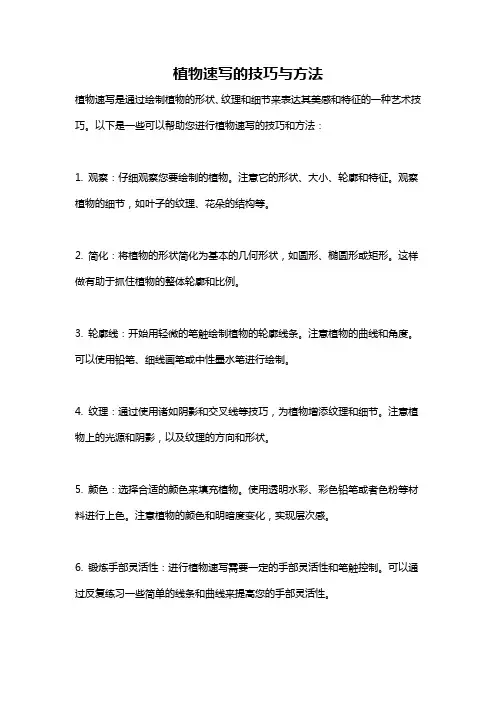 植物速写的技巧与方法