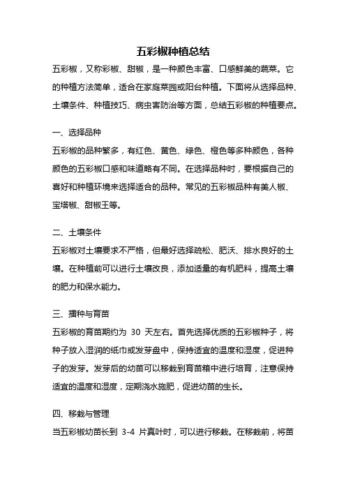 五彩椒种植总结