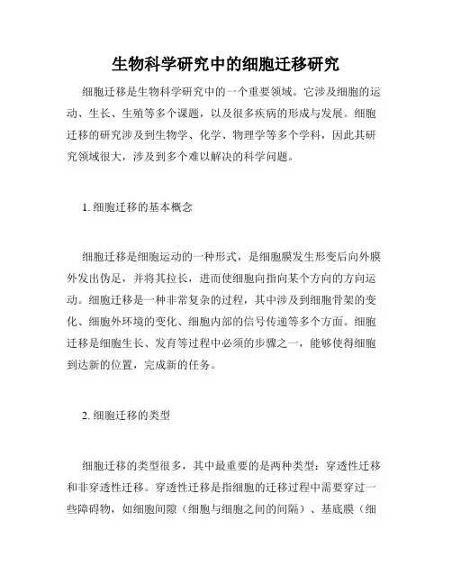 生物科学研究中的细胞迁移研究