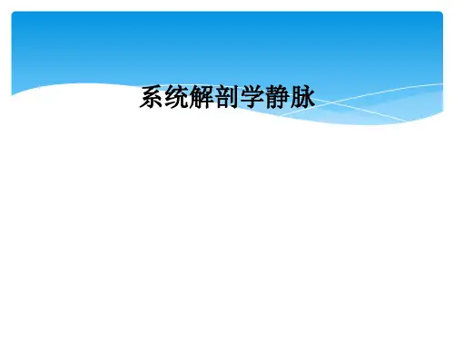 系统解剖学静脉