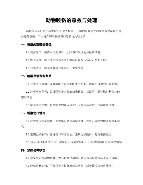 动物咬伤的急救与处理