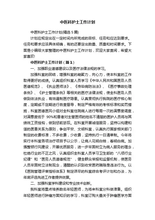 中医科护士工作计划