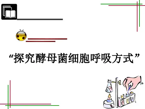 探究酵母菌细胞呼吸方式