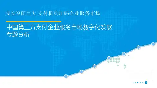 第三方支付企业服务市场数字化发展专题分析