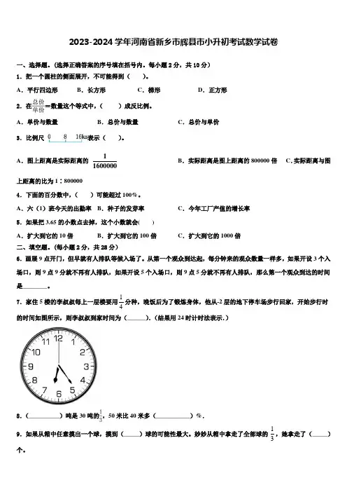 2023-2024学年河南省新乡市辉县市小升初考试数学试卷含解析