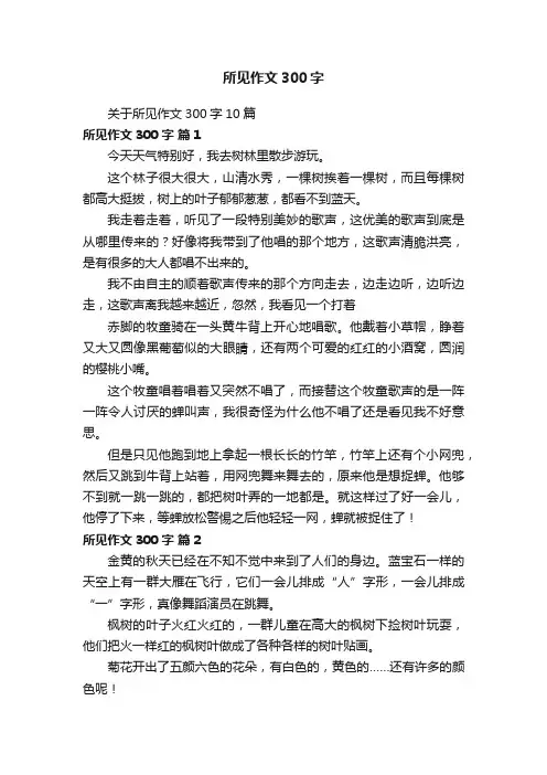 关于所见作文300字10篇