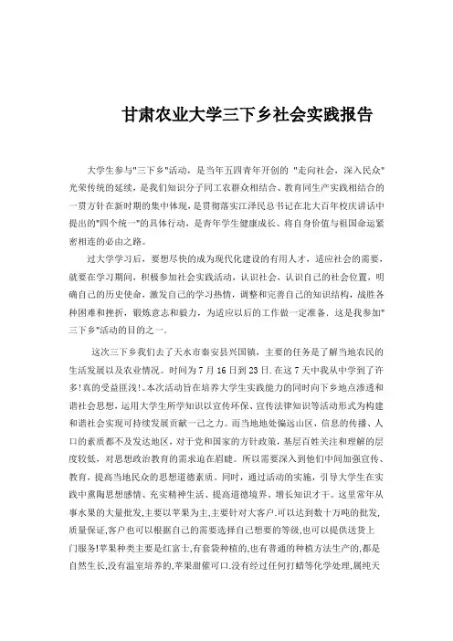 暑期三下乡实践报告
